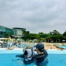 이천이파크 | 이천 테르메덴 워터파크 할인 이용 후기