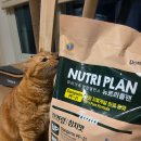 동원명가 | 🐈 [체험후기] 동원 뉴트리플랜 전연령 참치맛~