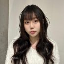 세진소프트 이미지