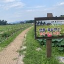 세븐일레븐 인왕점 이미지