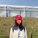 F1낚시 | 나고야 F1 직관 준비물 / 추천템 (내돈내산💸)