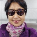 천사(1004)섬 여행사