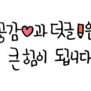 마이티그루밍 이미지