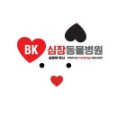 BK심장동물병원 이미지
