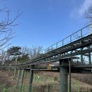 유마사 | 47. 모후산(母后山) #44 | 어머니의 덕 |유마사 원점회귀