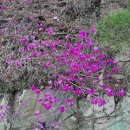 쇠평경로당 이미지