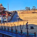 1795 | 경기도 초등 아이랑 가볼만한 곳 수원화성 XR 1795버스 체험 추천