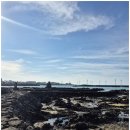 바당쿰다 이미지