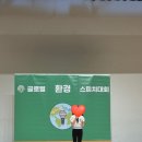 하일리영어