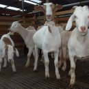 김태희농장 이미지