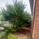 시립가곡어린이집 이미지