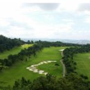 떼제베CC(대중제) 이미지