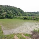 열녀 부안임씨 정려 이미지