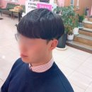베이직살롱 이미지