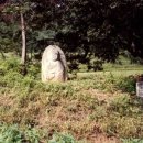 대평1구 이미지