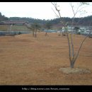 창원 덕천리 유적 이미지