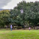 일동라스베가스 공원 이미지