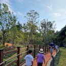 서귀포시 보훈회관 | 동이홍이네힐링황톳길, 서귀포 하영올레3코스 황토 맨발걷기