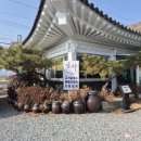 임자로 | [경주 맛집] 경주 고기 칼국수가 맛있는 '임자칼국수 경주본점'