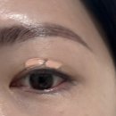 자빈 | 자빈드서울 아이프라이머 10 페일코랄 여쿨라 발색 내돈내산