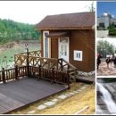 보현산자연휴양림 산 이미지