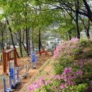 상리공원 내 이미지