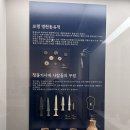 보령문화의전당 보령박물관 이미지