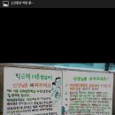 광화문에서 홀로 서명운동 중인 11살 소년 이미지