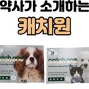 다산온누리약국 이미지