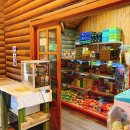 덕유대자동차야영장 이미지