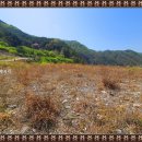 산골쉼터민박 이미지