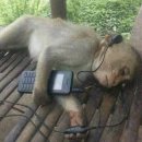 싸울아이 | 귀멸의 칼날 극장판 포디 아이맥스 투디 3회차 후기 👺👹🔥