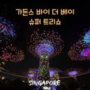 자유슈퍼 | 싱가포르 여행 필수 코스 [가든스 바이 더 베이 클라우드 포레스트, 슈퍼트리 쇼] 후기 자유여행 추천코스