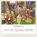 관-비-4-2호 | 시흥 아이랑 갈만한곳 쥬뗌므 키즈 동물체험 주차 입장권 먹이비용