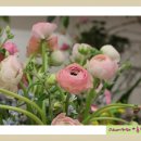 화훼장식(플로리스트) 이미지