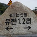 유전1리 이미지