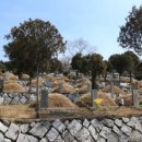 양택공설묘지 이미지