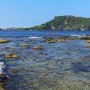 제이에스패키지 이미지