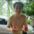 촐리 이미지