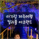 보컬(야간) | [제주] 에코랜드 야간개장 컬러풀 에코랜드 후기 (아기랑 여행)