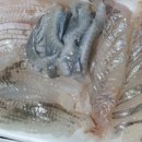 리얼바다낚시터 이미지