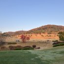 자유로농장 | 추위 대비가 부족했던 2025 마지막 가을 골프 경기도 연천 자유로cc 라운딩 7시 티오프 후기 및 복장 공유