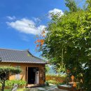 촌집,그 집 이미지