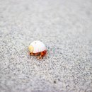 에이오(AO) 이미지