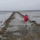 도리포축산 이미지