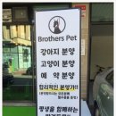 펫브라더스 이미지