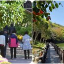 완도수목원 이미지