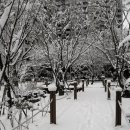 가락고등학교(내) 이미지