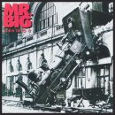 미스터빅 이미지