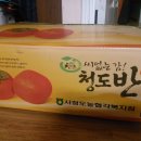 정담농장 Daum카페
